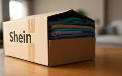 Para que te lleguen tus compras de Shein: los requisitos que aclaró ARCA